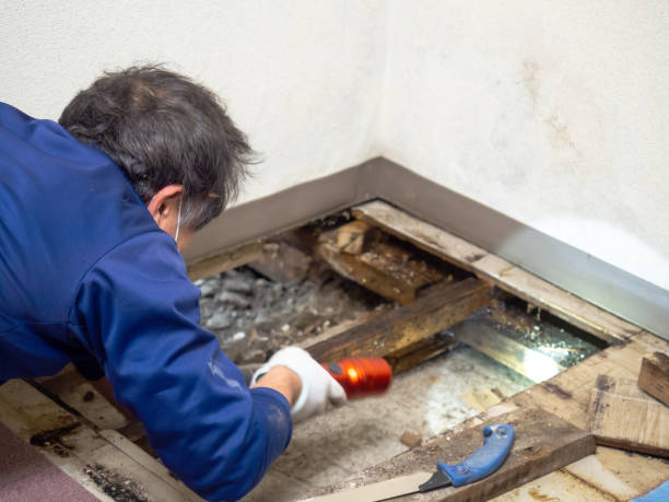 Water Damage Restoration in Cheswold, DE